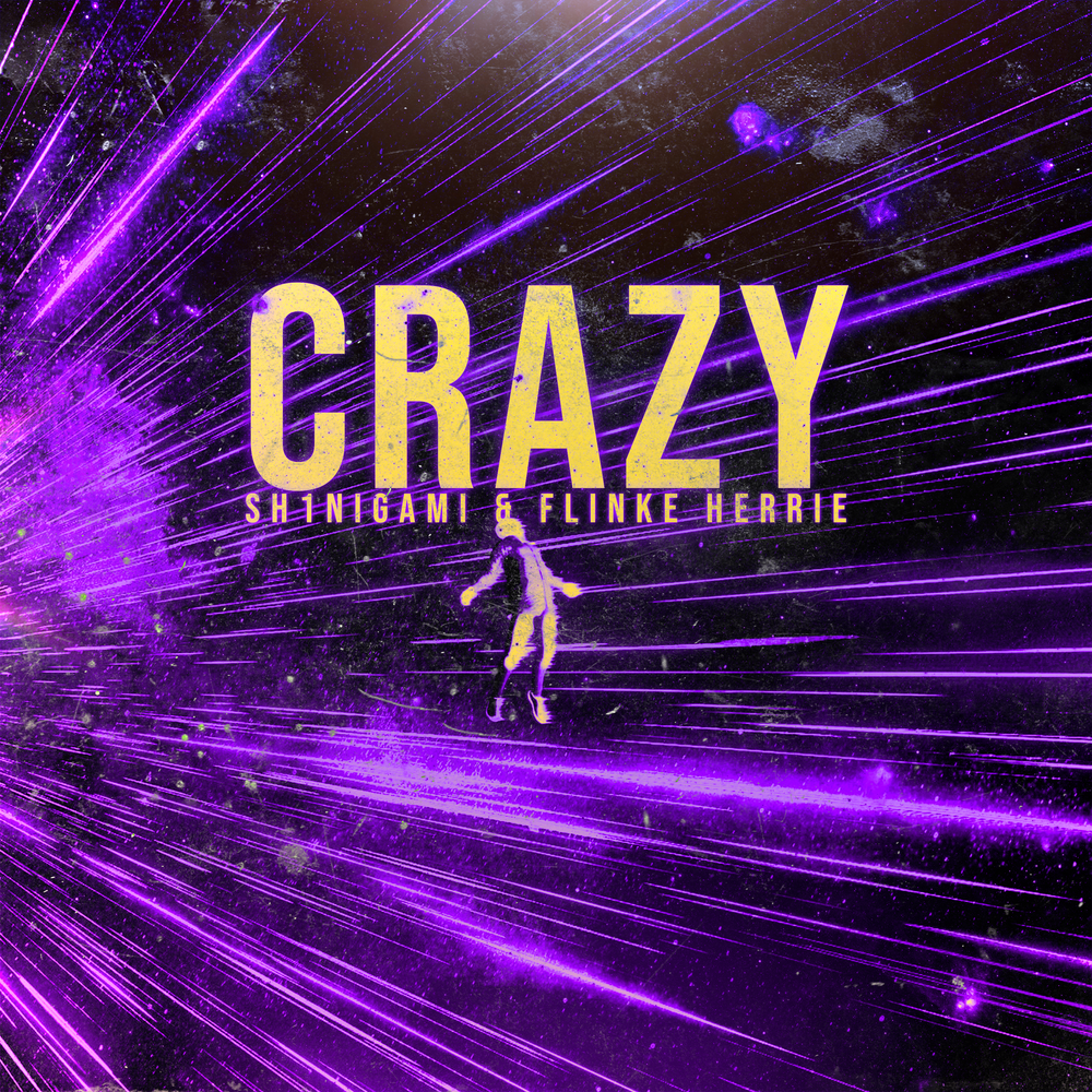 CRAZY Ft. Flinke Herrie (Extended Mix)